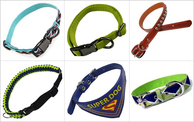 Top Dog Collars in Canada