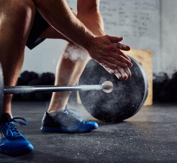 fitness SEO