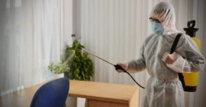 Reliable and Affordable Pest Control Options for Edmonton Homeowners
